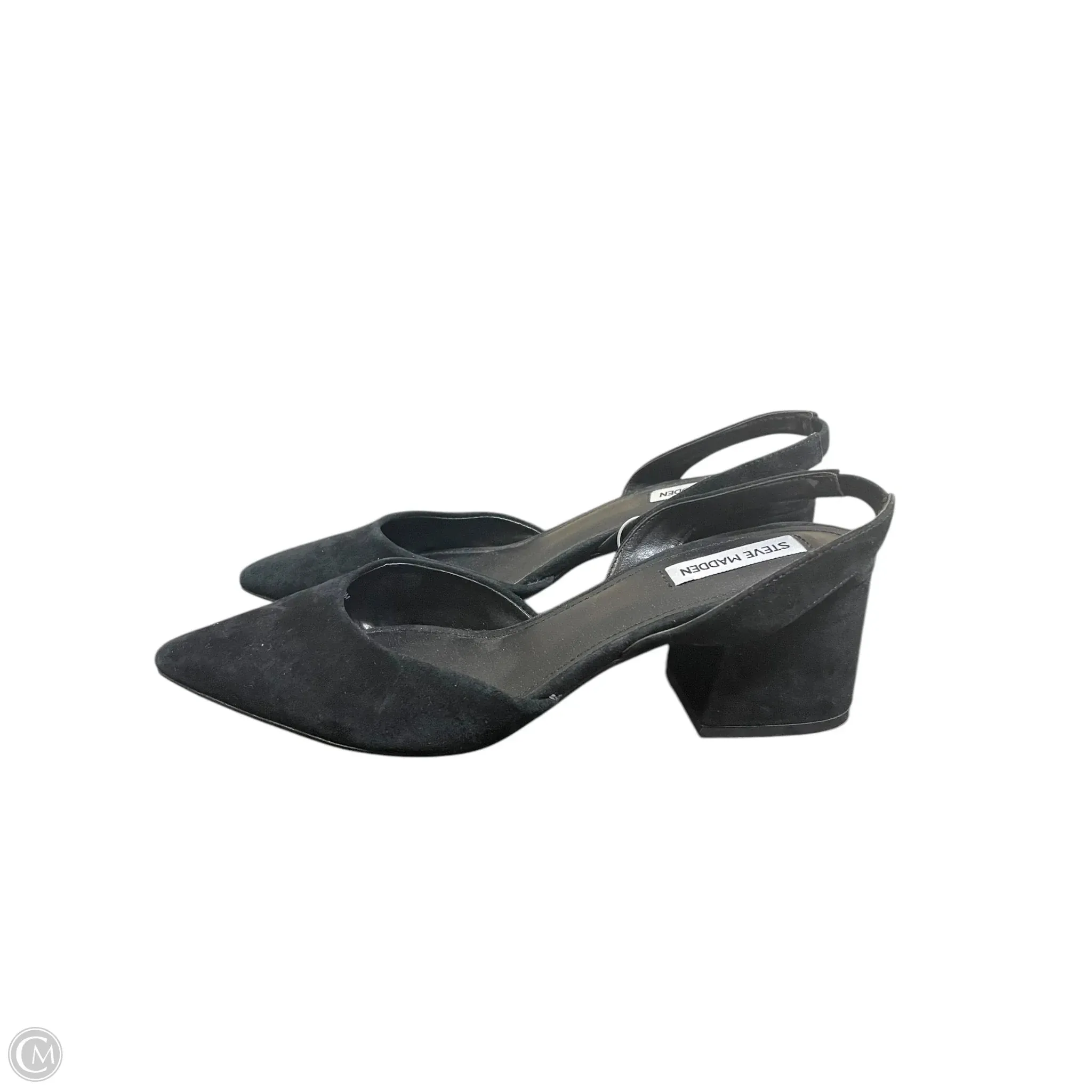 Shoes Heels Kitten By Steve Madden In Black, Size: 10 steve madden