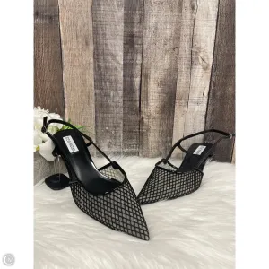 Shoes Heels Kitten By Steve Madden In Black, Size: 10 steve madden