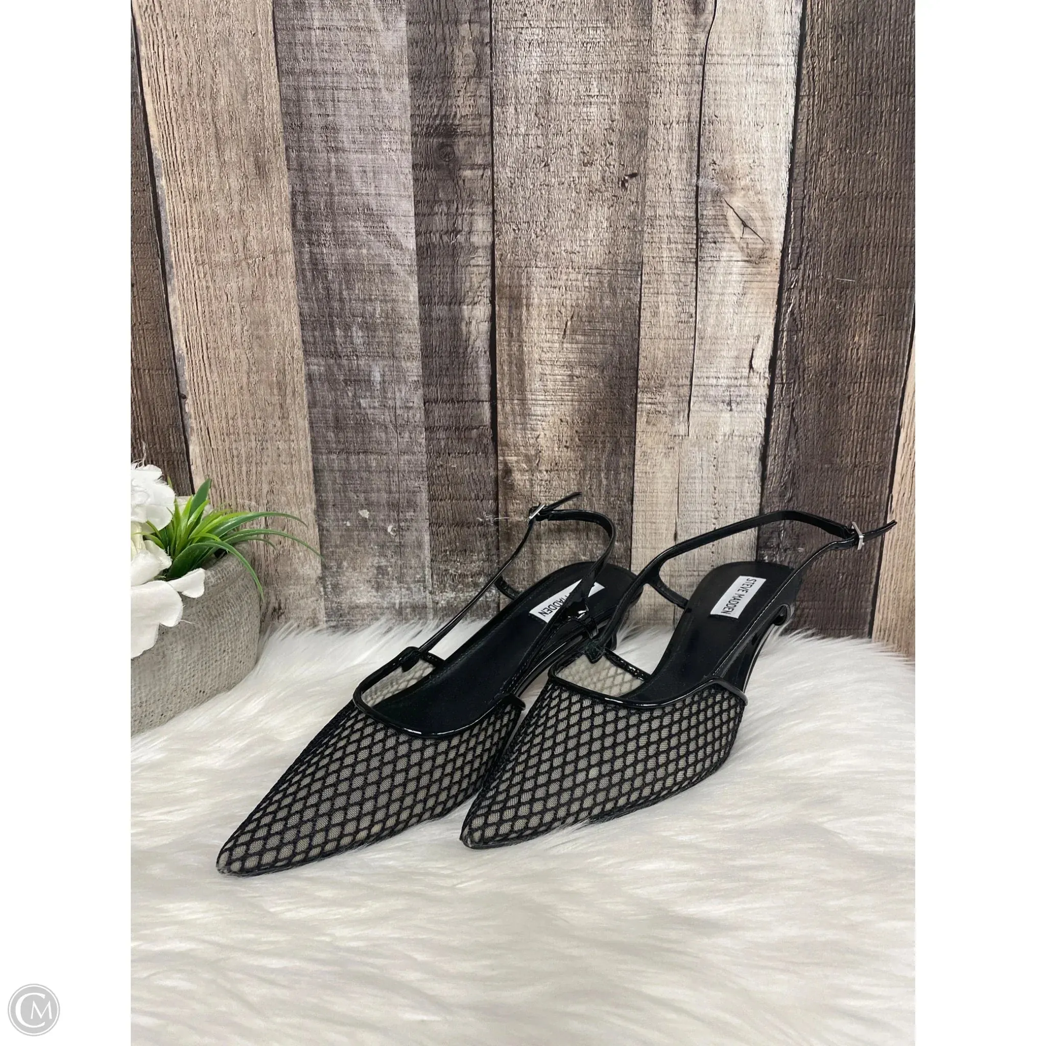 Shoes Heels Kitten By Steve Madden In Black, Size: 10 steve madden