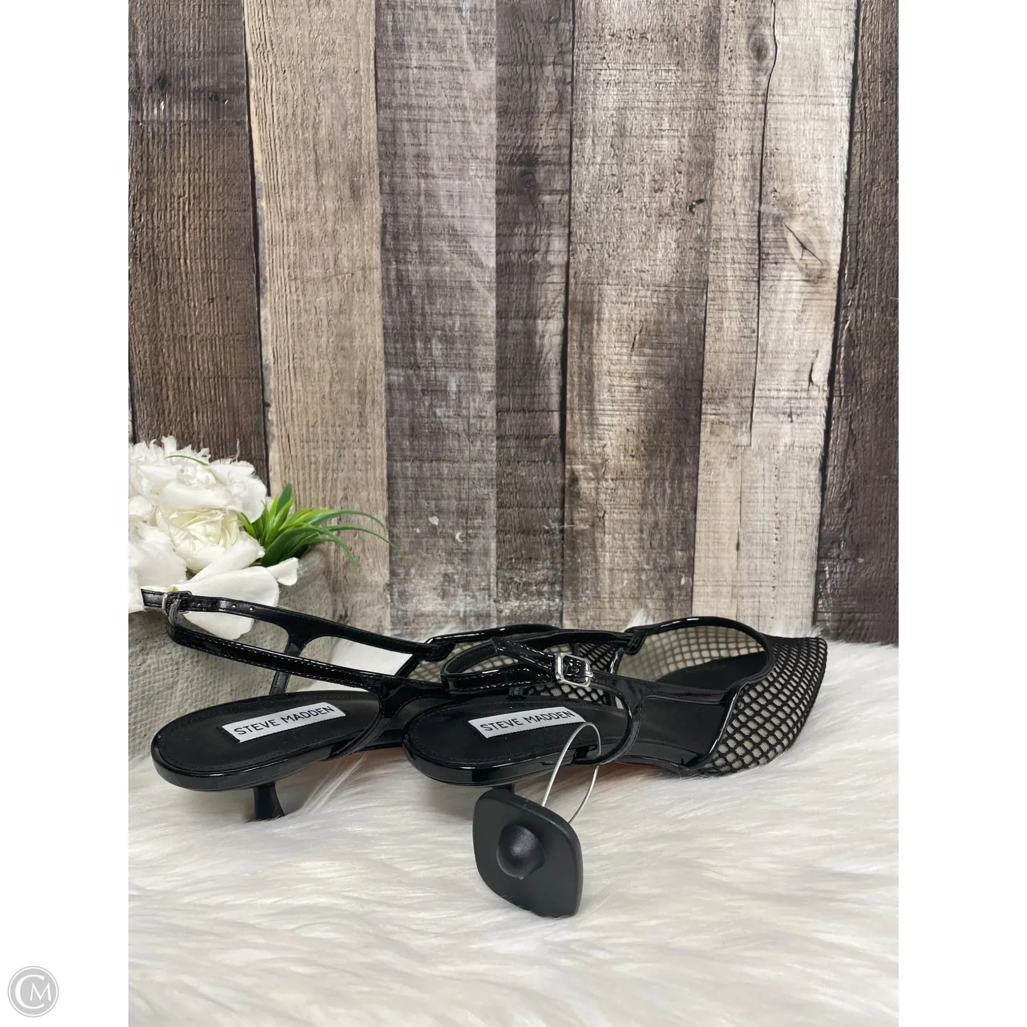 Shoes Heels Kitten By Steve Madden In Black, Size: 10 steve madden