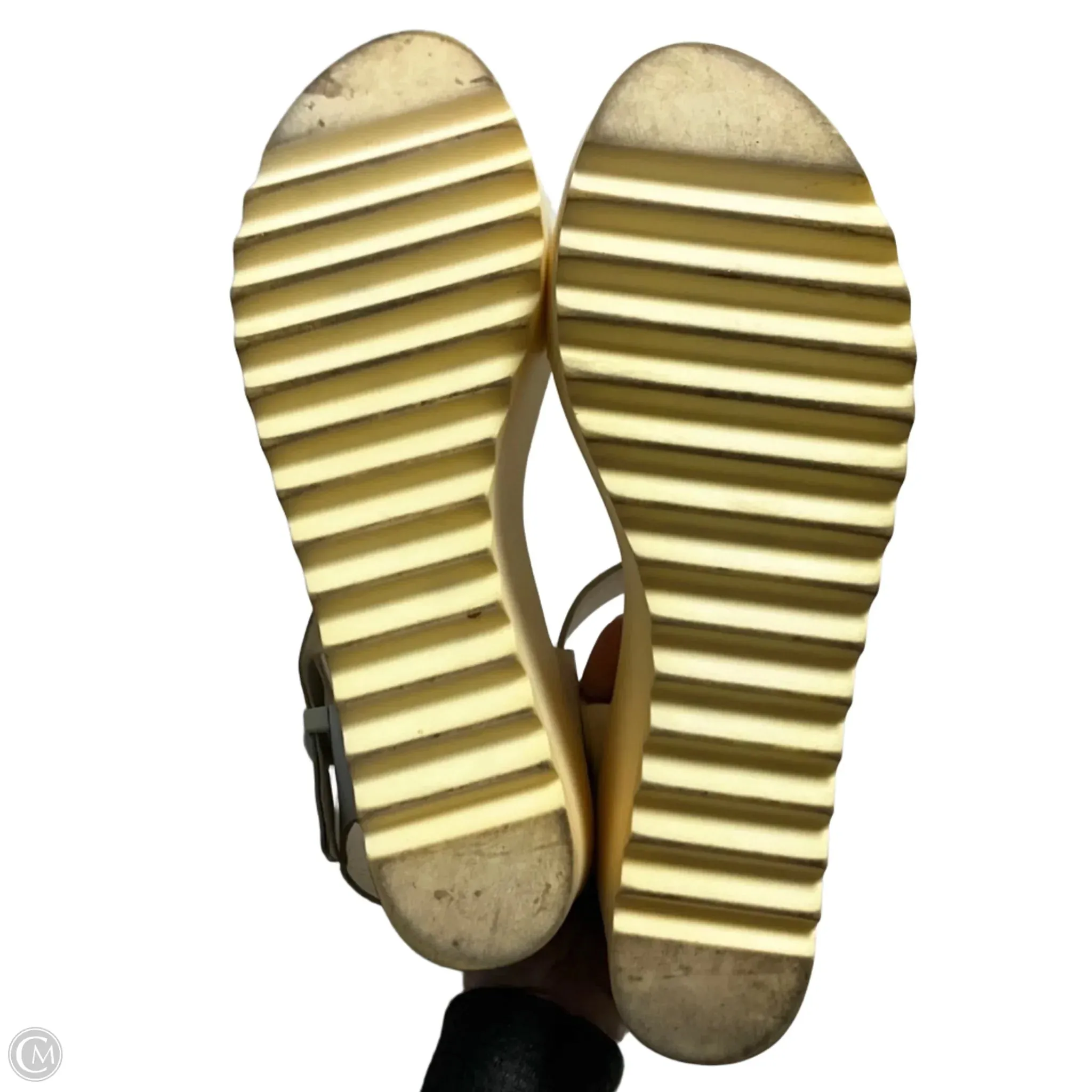 Shoes Heels Wedge By Steve Madden In White, Size: 10 steve madden