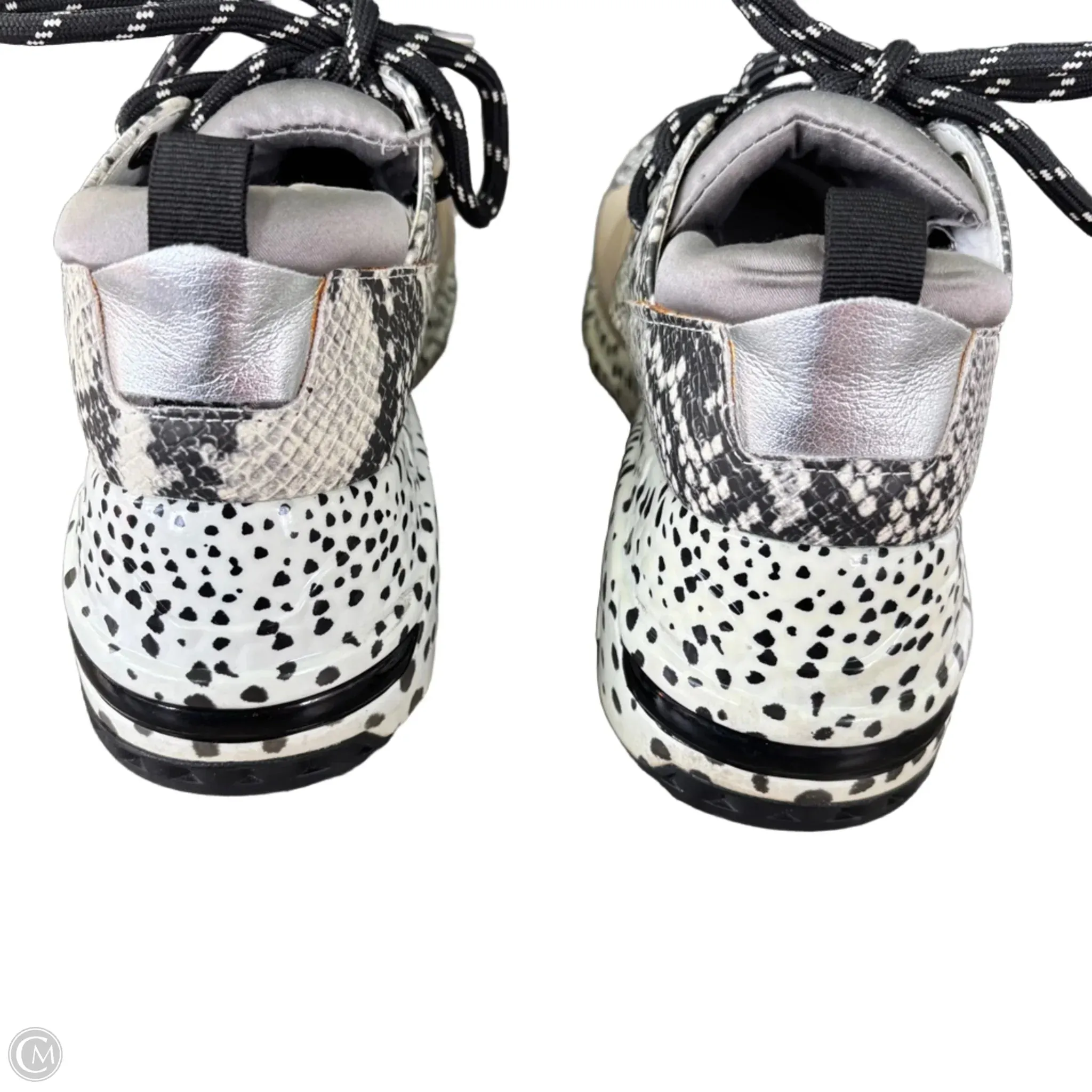 Shoes Sneakers By Steve Madden In Animal Print, Size: 6.5 steve madden