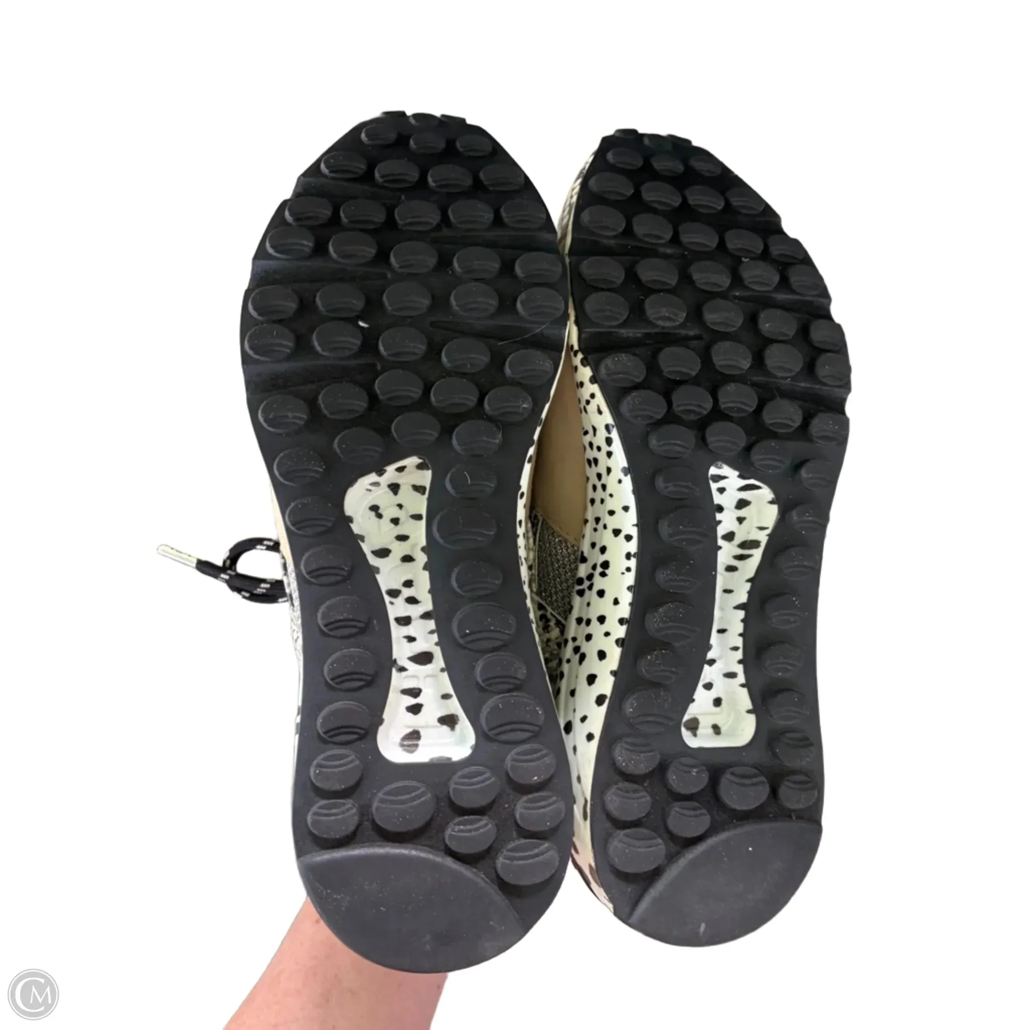 Shoes Sneakers By Steve Madden In Animal Print, Size: 6.5 steve madden