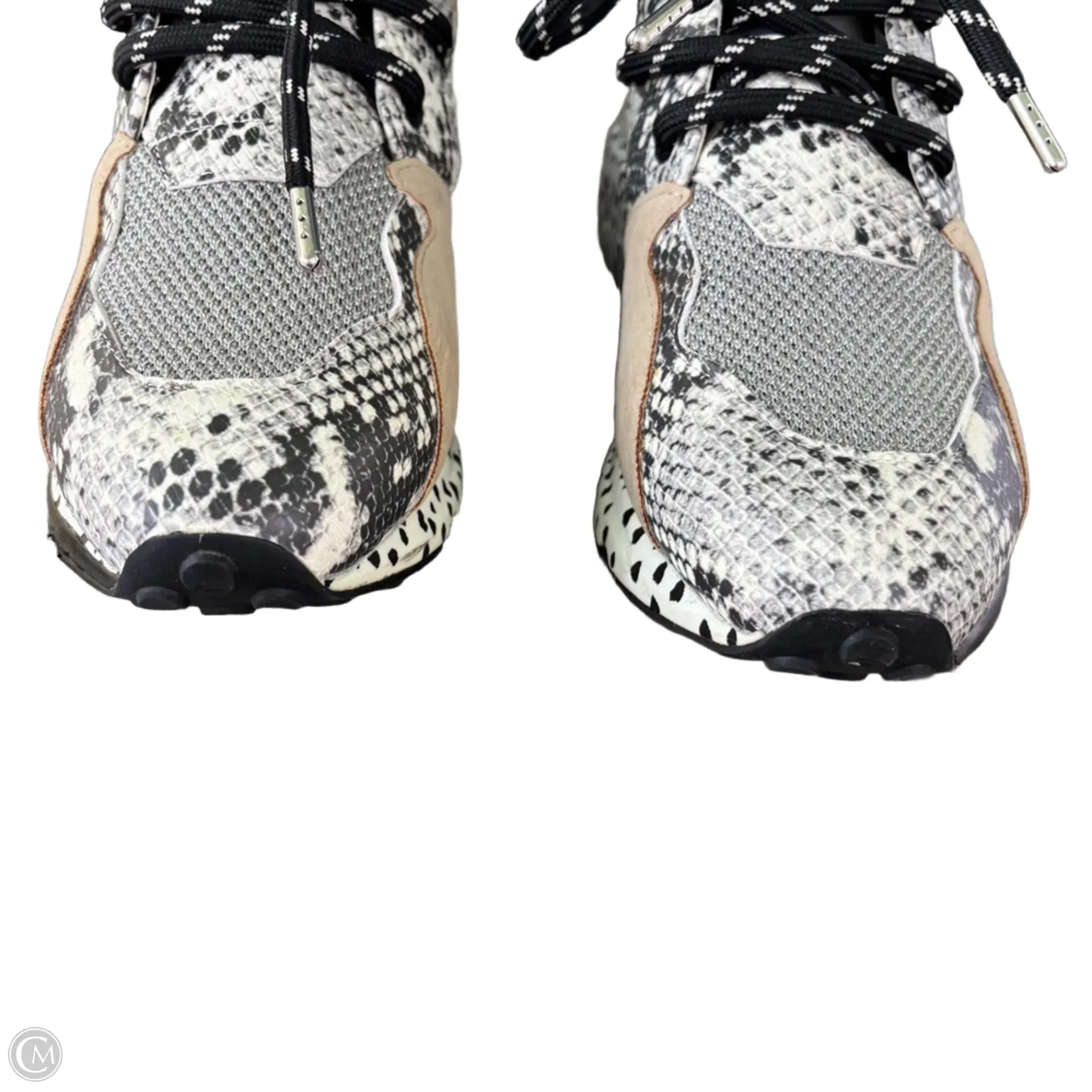 Shoes Sneakers By Steve Madden In Animal Print, Size: 6.5 steve madden