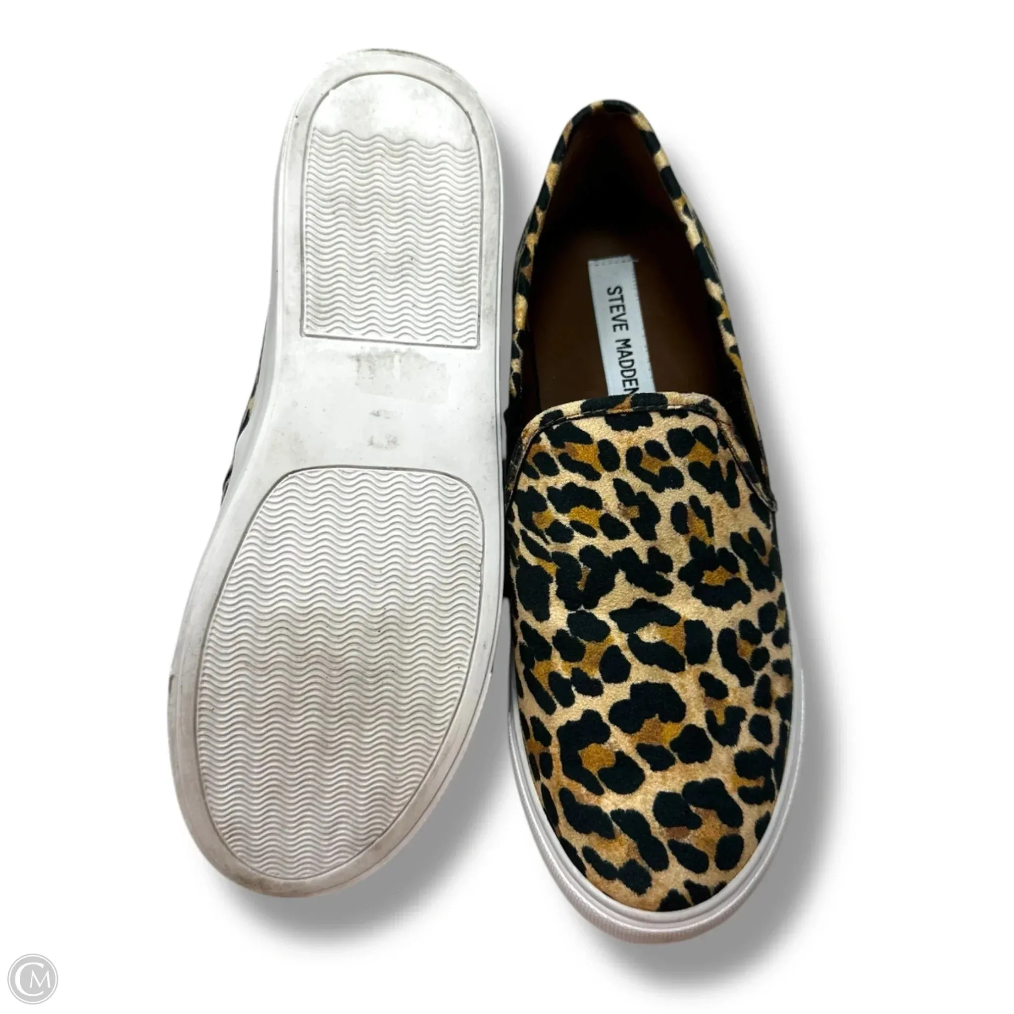 Shoes Sneakers By Steve Madden In Animal Print, Size: 8.5 steve madden