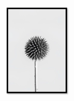 Silver Thistle, Posterpop culture themed posters