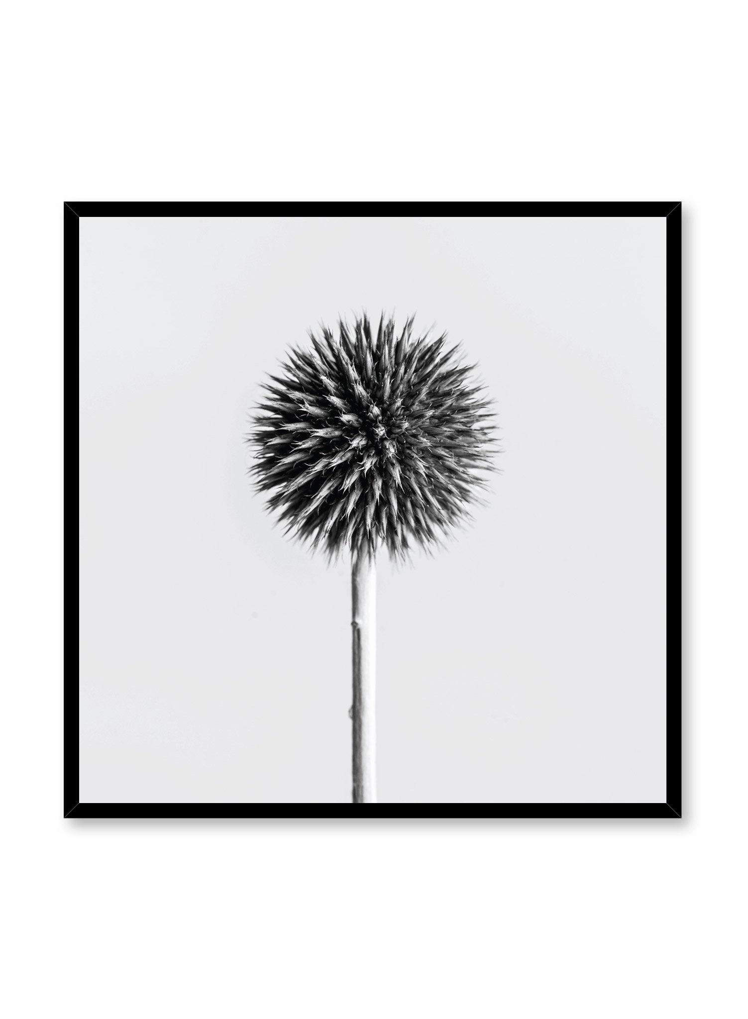 Silver Thistle, Poster