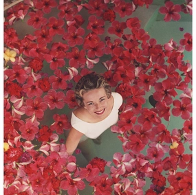 Slim Aarons Hibiscus Flowers Photographnordic style wall decor
