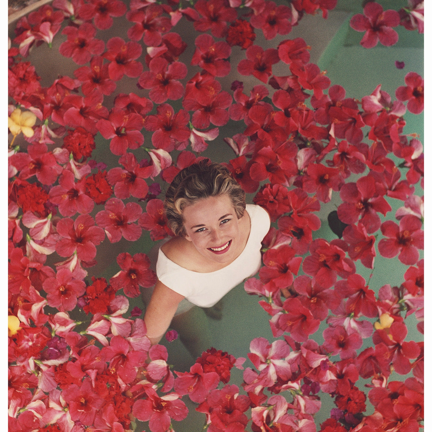 Slim Aarons Hibiscus Flowers Photographnordic style wall decor
