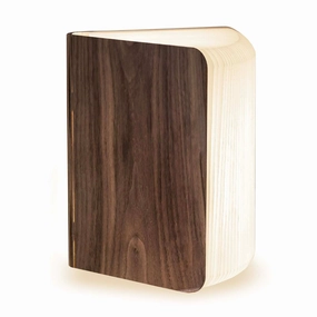 Smart Walnut Booklightnordic style desktop ornaments