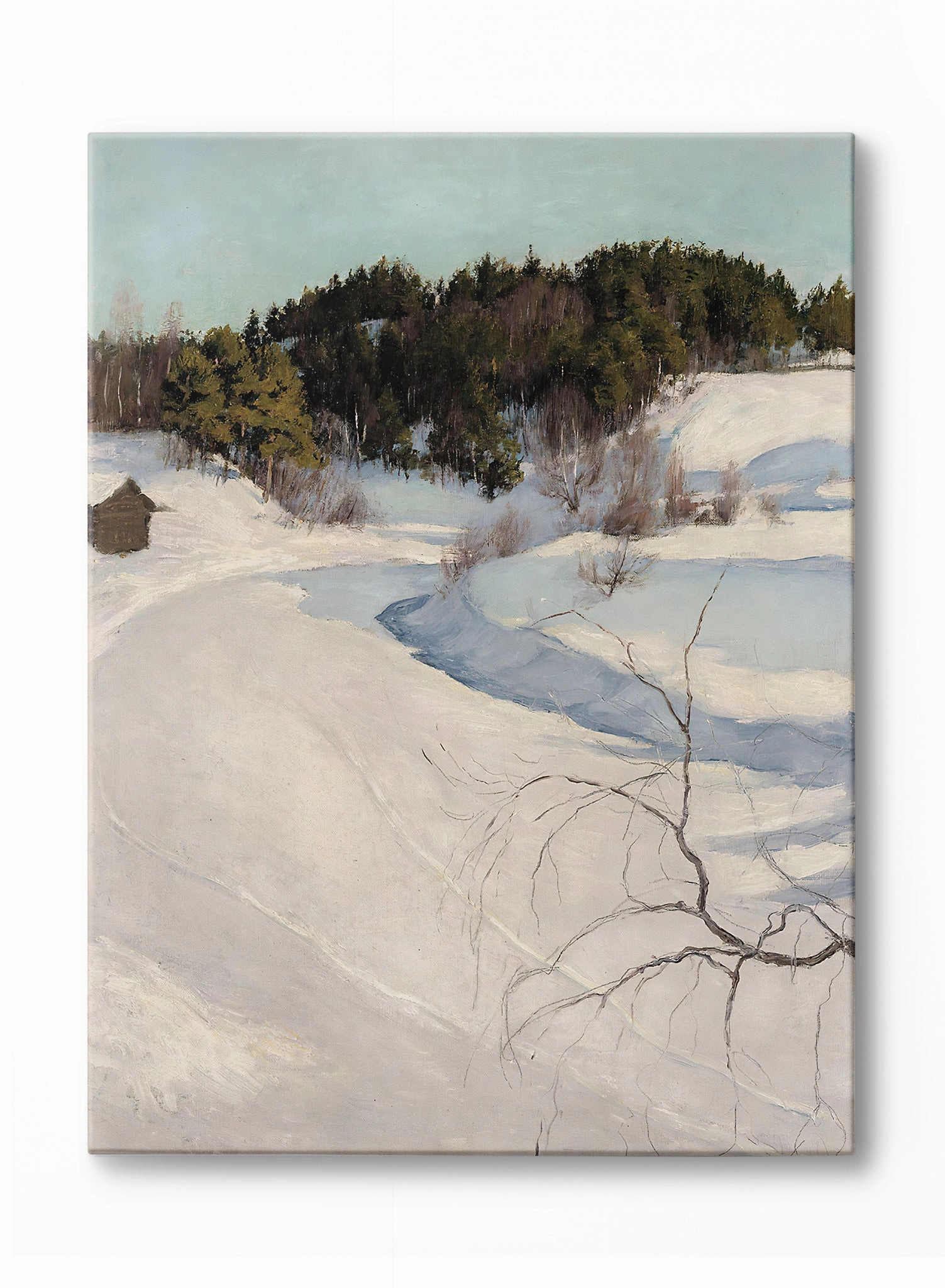 Snowshoe Trails, Poster