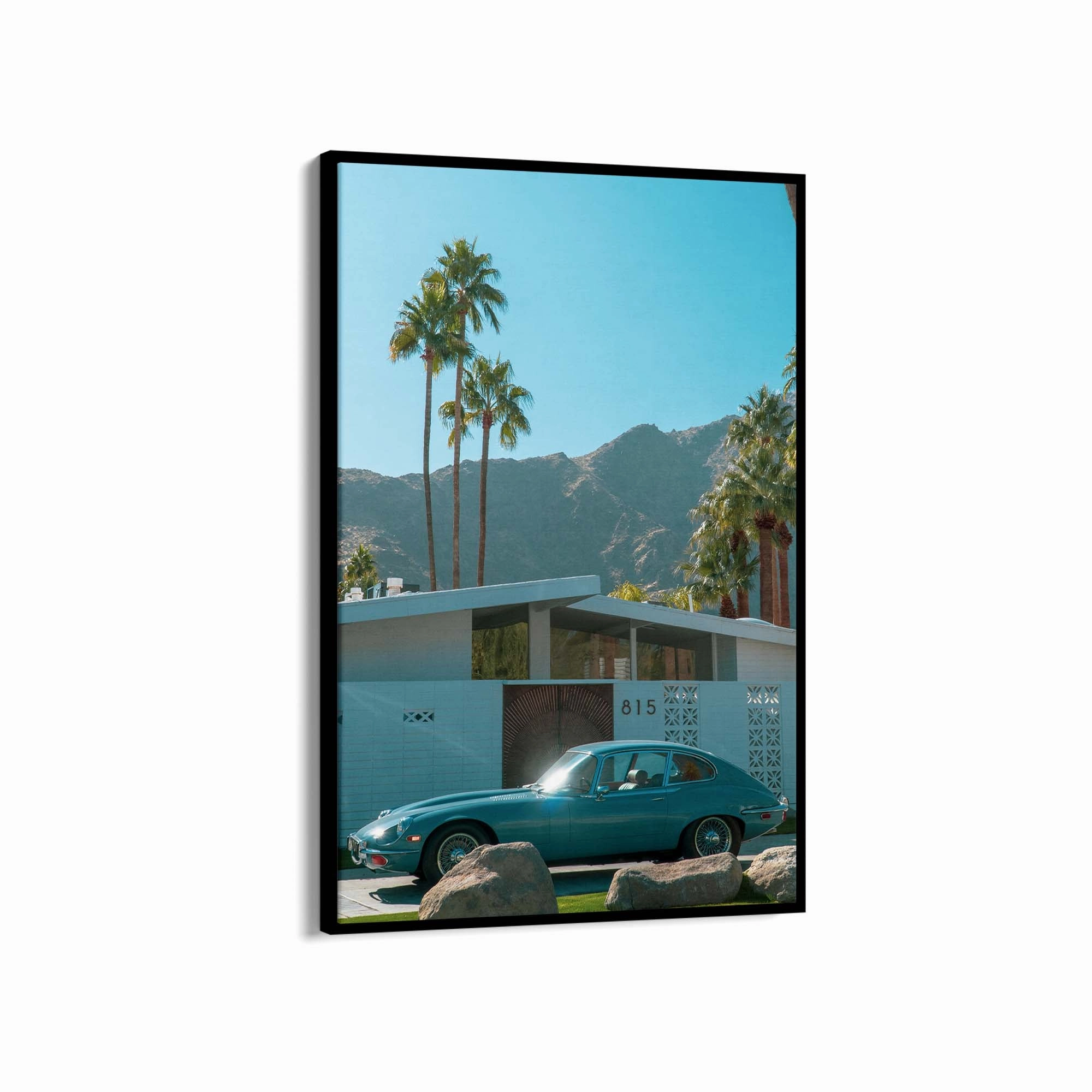 Summer Desert Palm