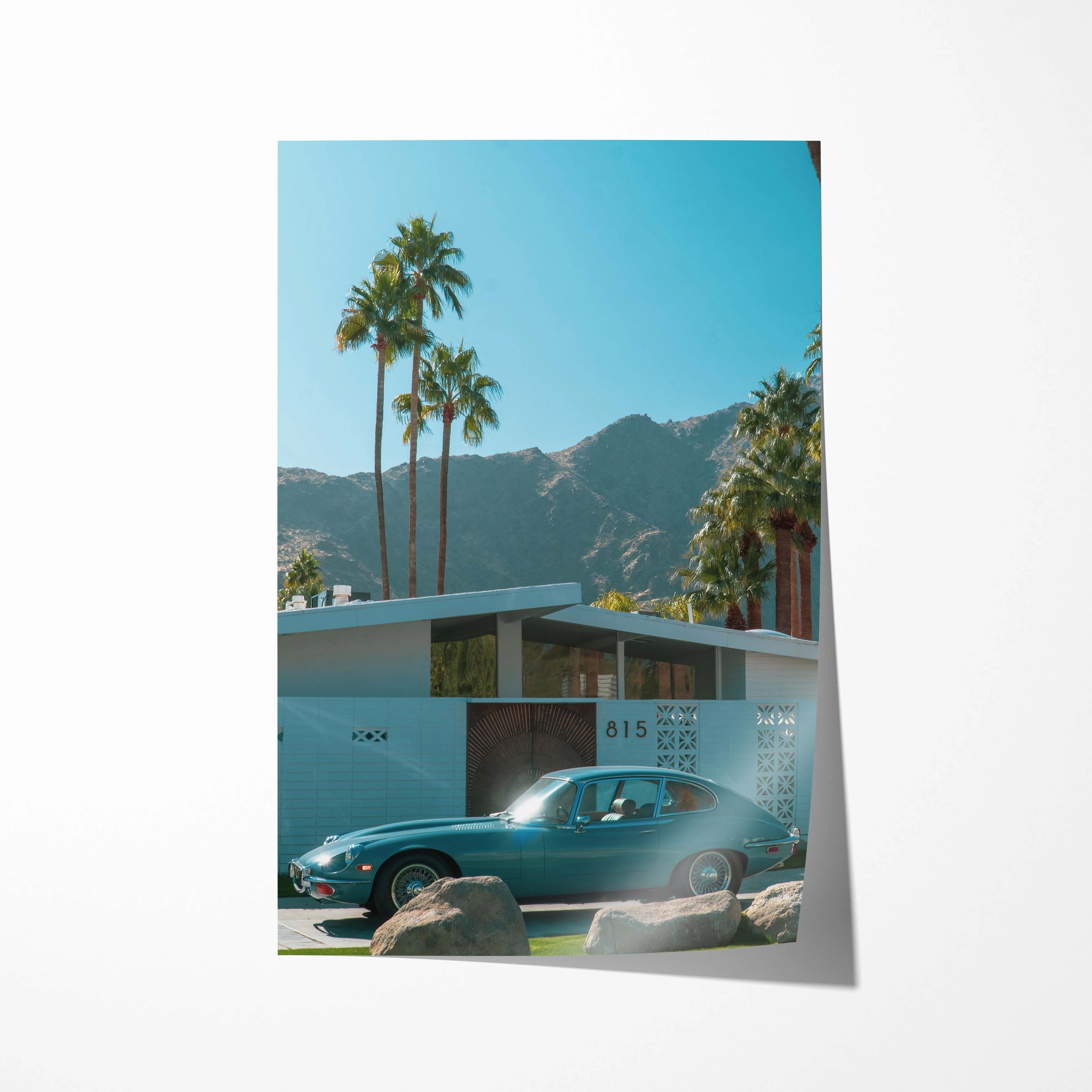 Summer Desert Palm