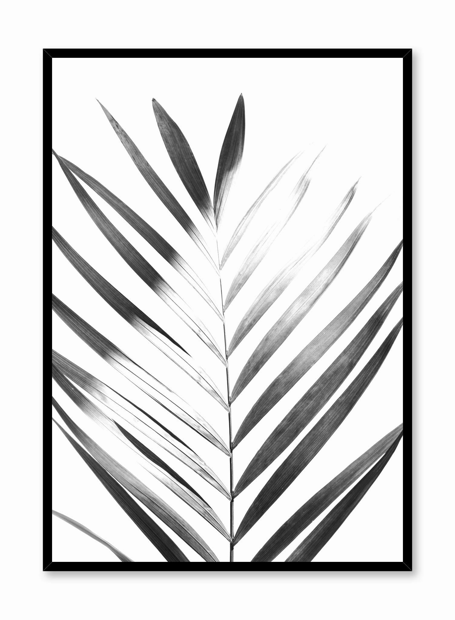 Sunlight in Black, Posterpop culture themed posters