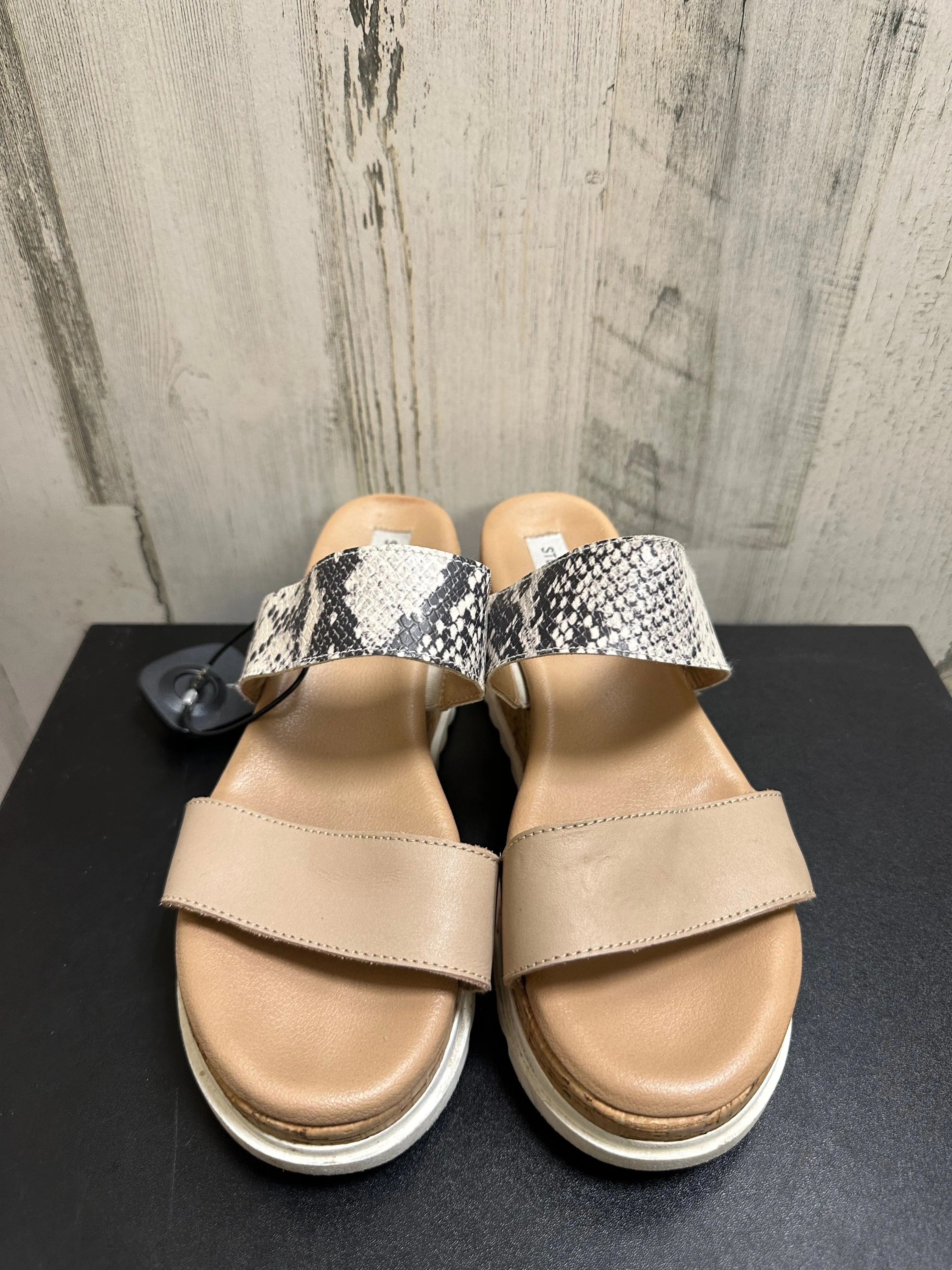 Tan Shoes Heels Platform Steve Madden, Size 8 steve madden
