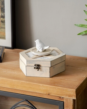 Timeless Bird - Musical Boxhome decor ,wall decor 