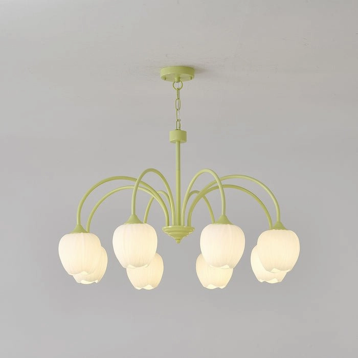 Tulip Matcha Chandelier