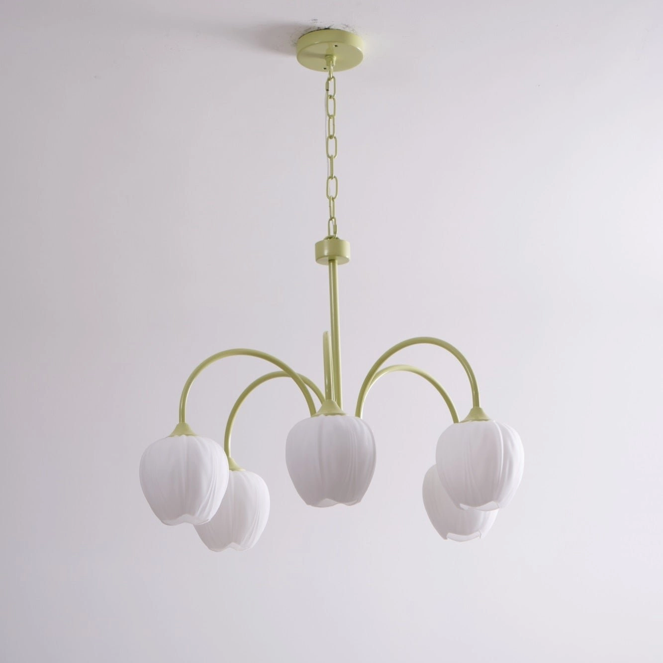 Tulip Matcha Chandelier