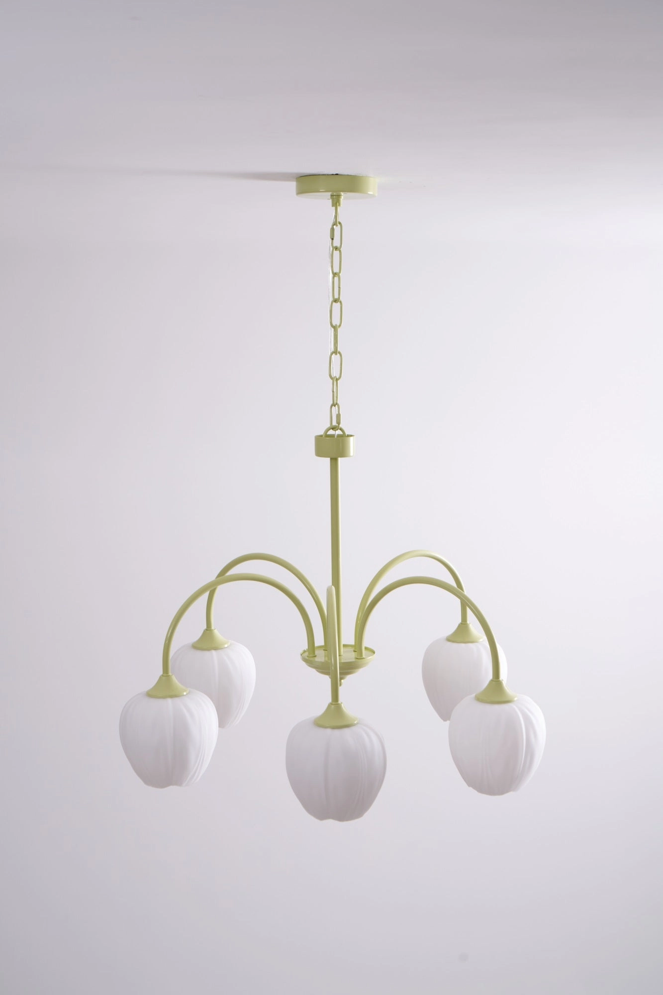 Tulip Matcha Chandelier
