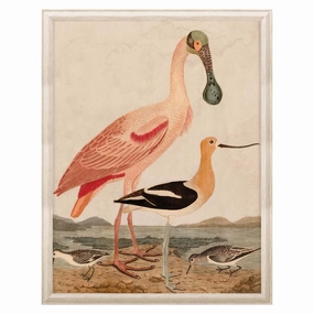 Warnicke Spoonbillnordic style wall decor