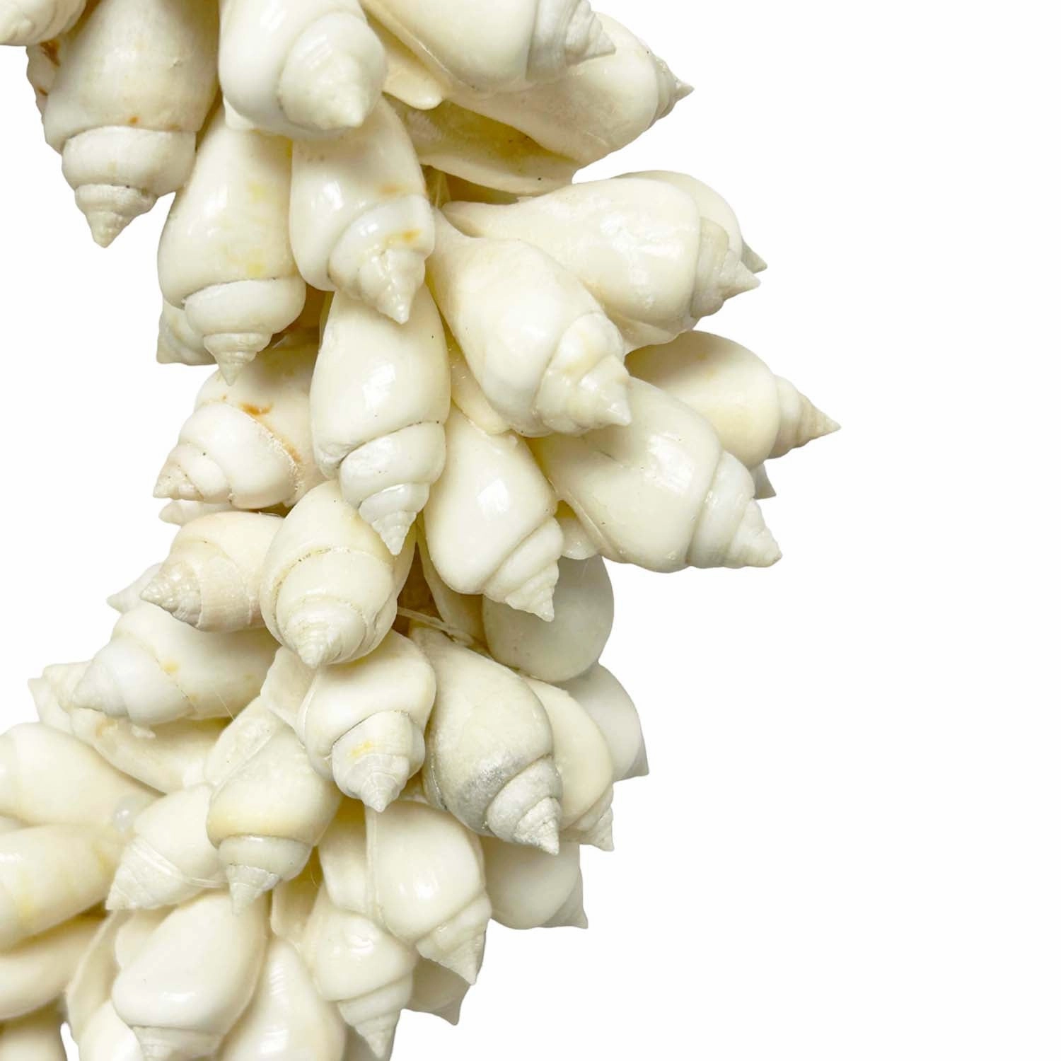 White Antique Erceus Wreath - 8"