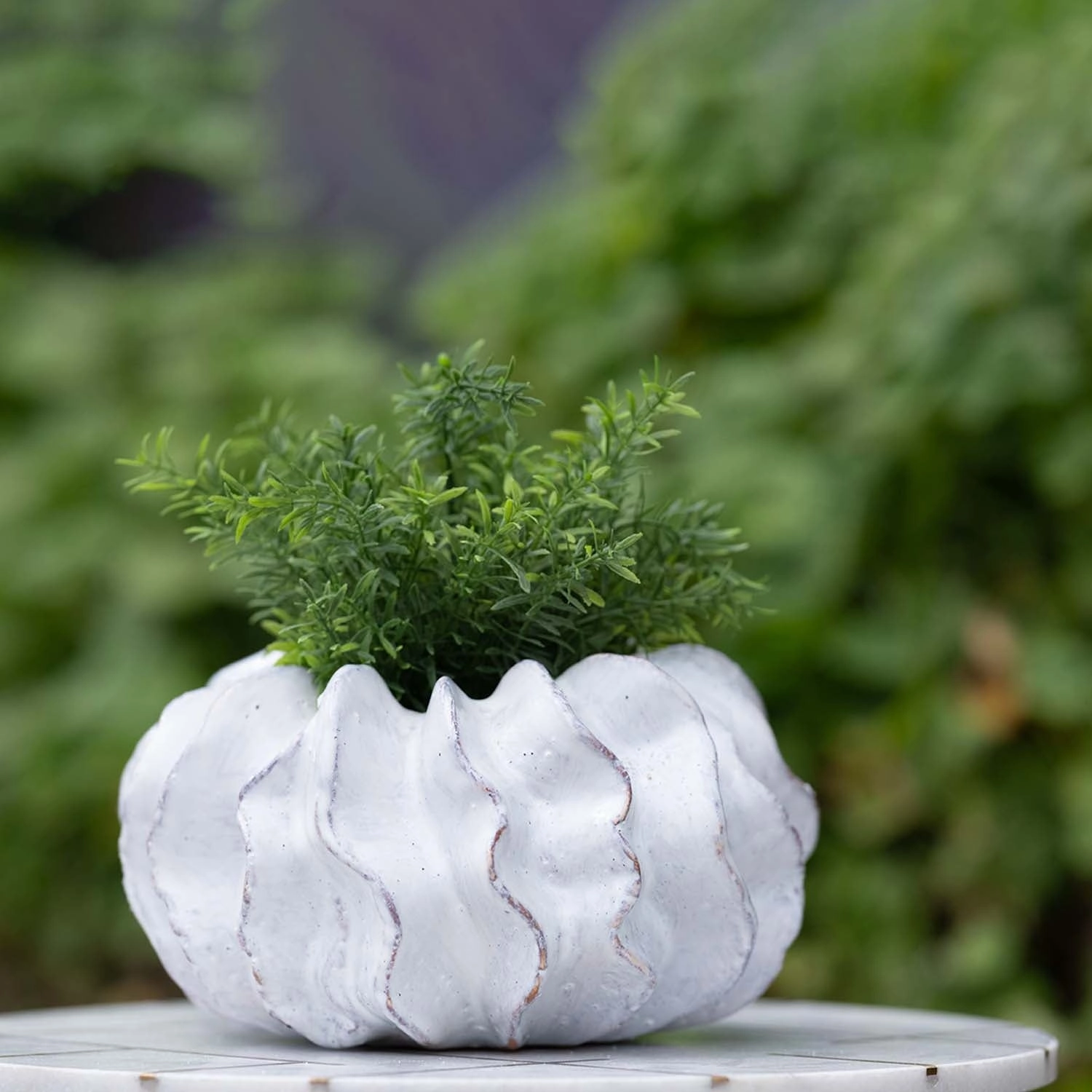 White Buhler Short Pot