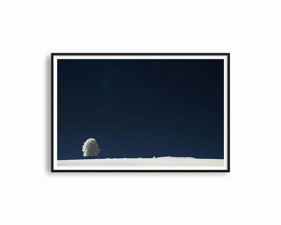 White Fieldmodern abstract painting decor