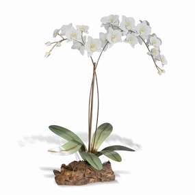 White Metal Orchid with Wood Basenordic style desktop ornaments
