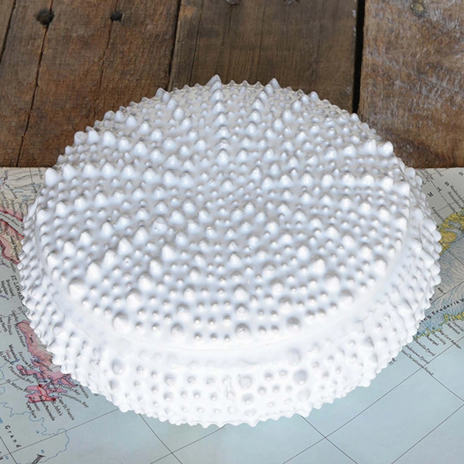 White Urchin Box