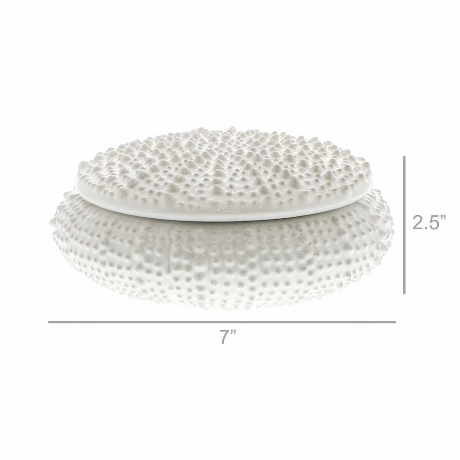 White Urchin Box
