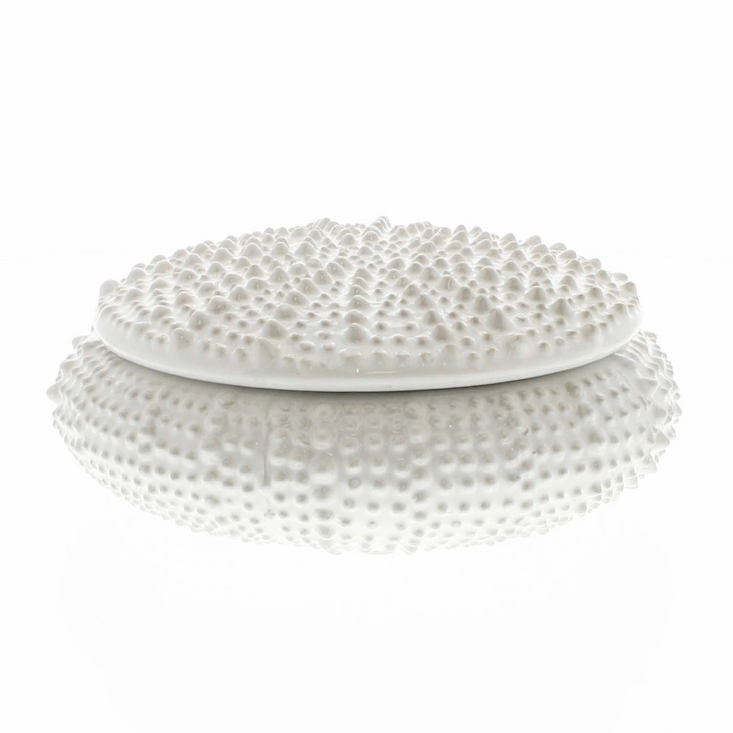 White Urchin Boxnordic style desktop ornaments