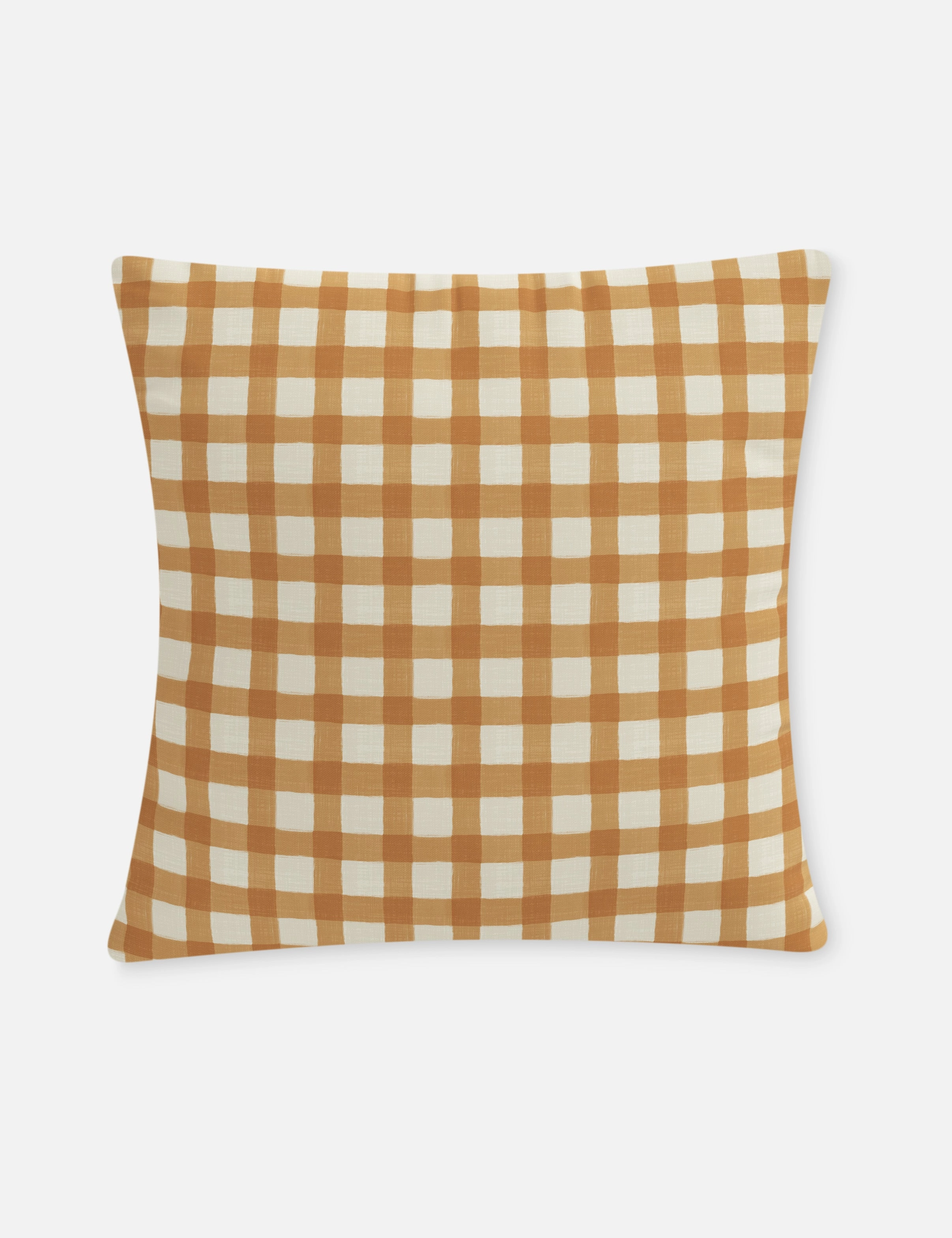 Whitten Indoor / Outdoor Pillow