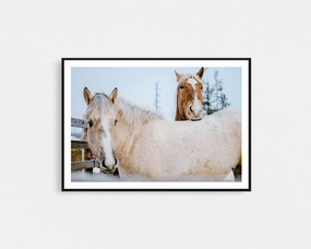 Winter Brumbiesnordic style wall decor