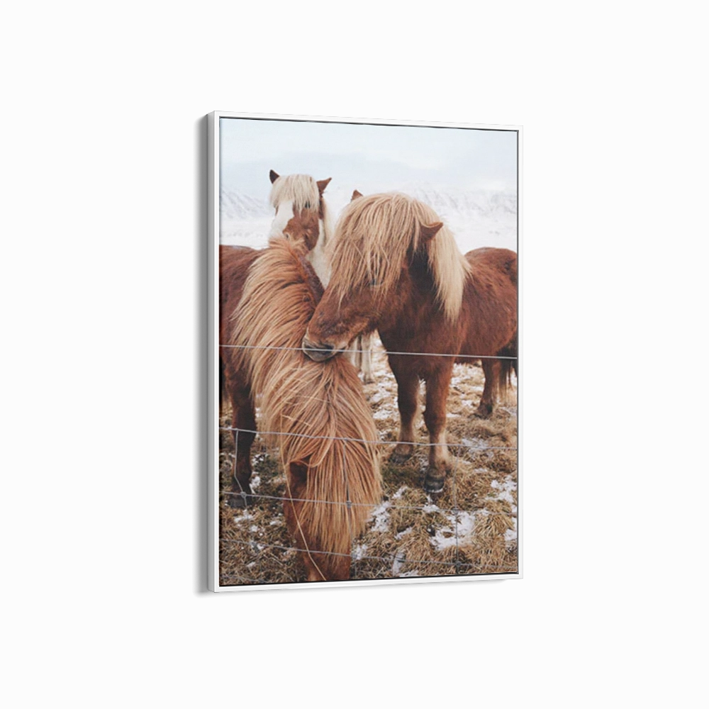 Winter Ponies Second Edition