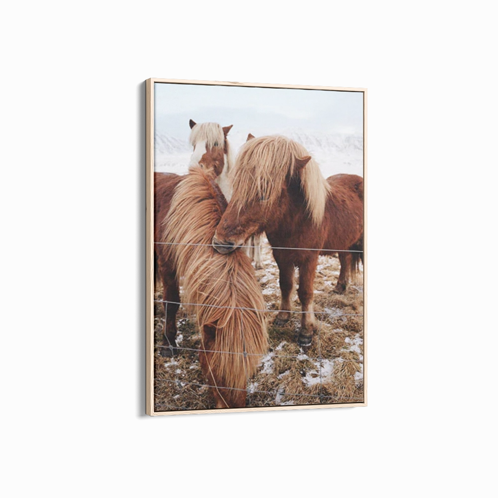 Winter Ponies Second Edition