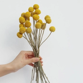 Yellow Dried Flowers - Bunch of 20home decor ,wall decor 