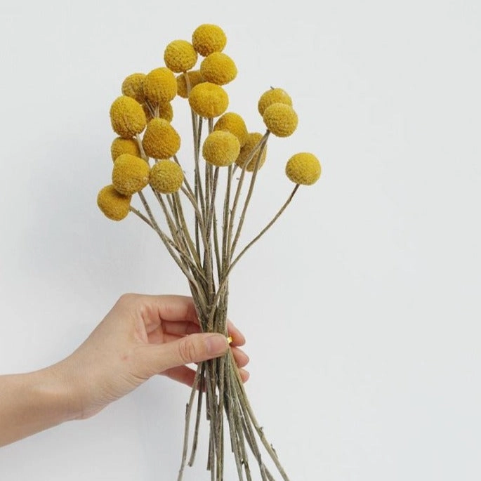 Yellow Dried Flowers - Bunch of 20home decor ,wall decor 