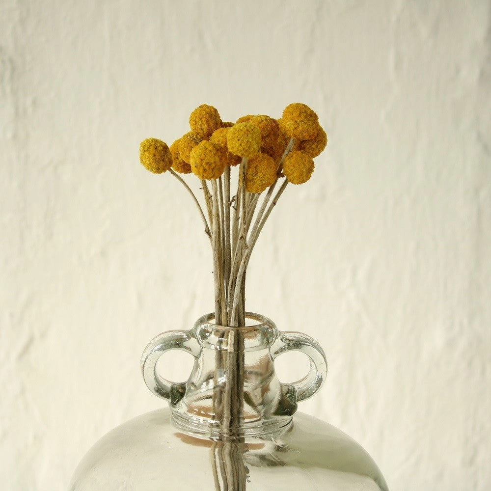 Yellow Dried Flowers - Bunch of 20