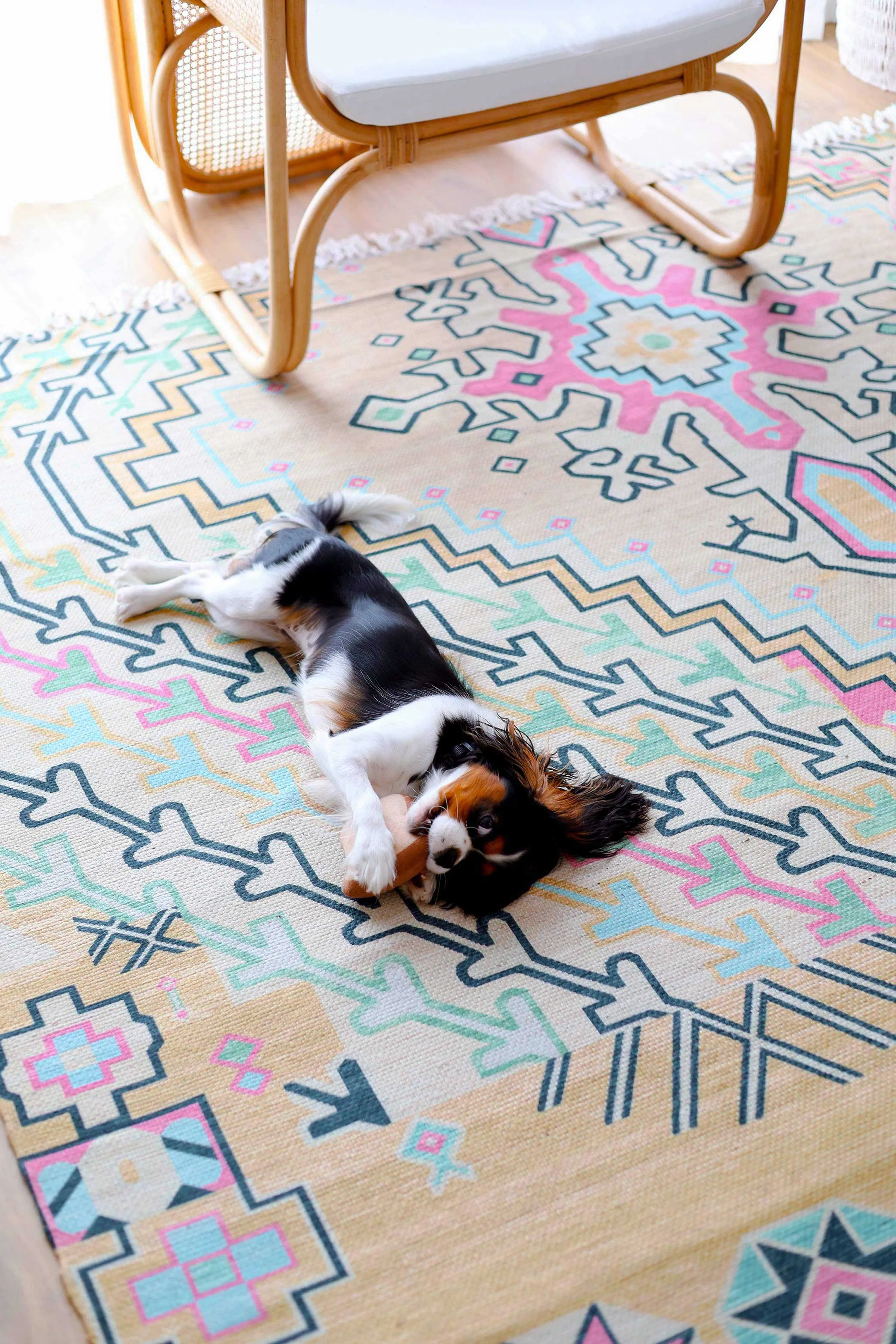 Zelda Cream Multi-Colour Abstract Tribal Indoor Outdoor Rug *NO RETURNS UNLESS FAULTY